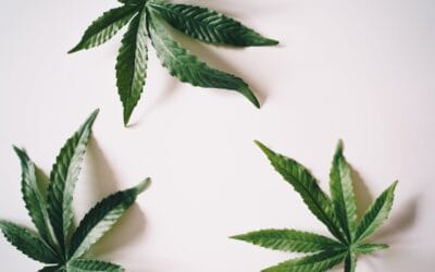 Correlatie cannabis gebruik en brusixme